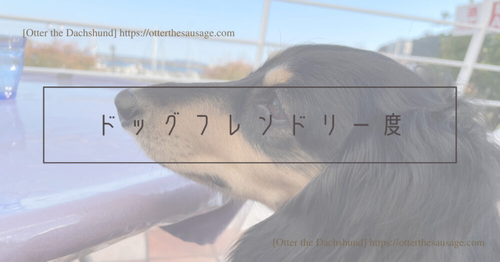 Blog Header image_犬と旅行_犬連れ旅行_202211_Shizuoka Atami_静岡熱海_Cafe&Restaurant Nagisa_ドッグフレンドリー度